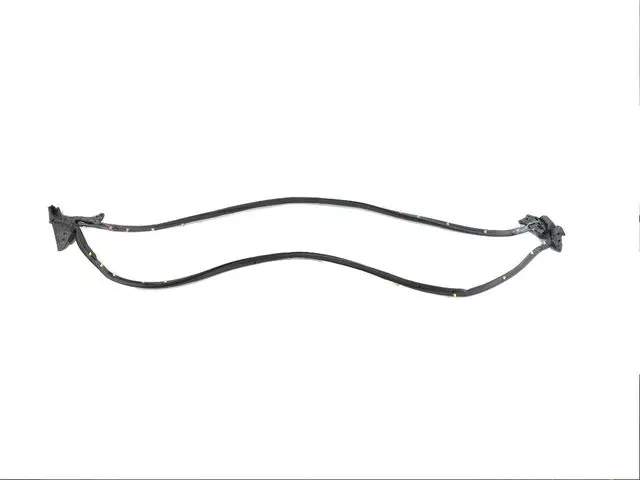 Door Opening Weatherstrip, Left - Mopar (68416487AA)