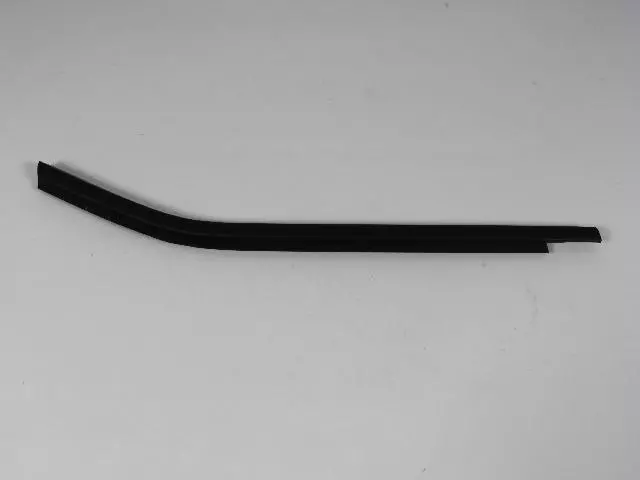 Rear Door Belt Weatherstrip, Right - Mopar (04806140AB)