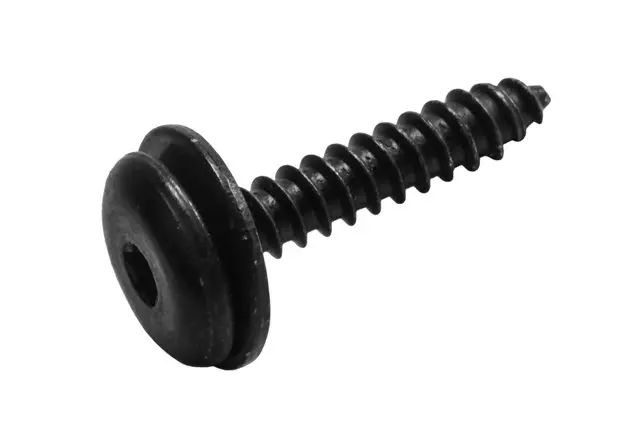 Door Window Frame Applique Bolt - GM (11547281)