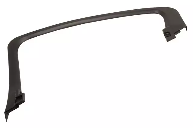 Passenger Side Rear Door Window Garnish Molding - GM (22785439)