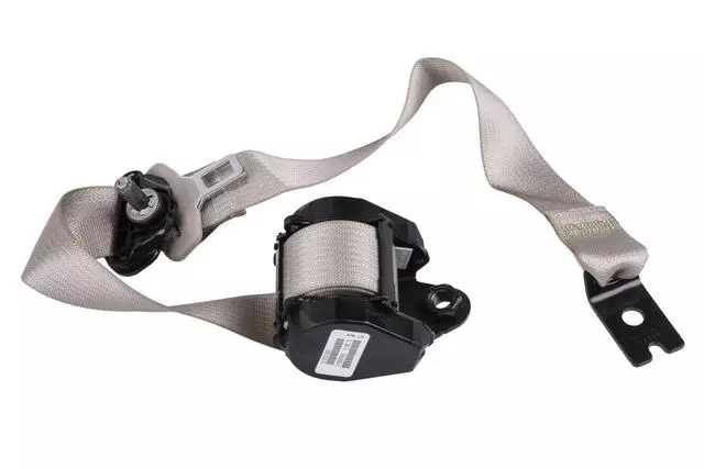 19301479 - Electrical: Outer Belt Assembly for Cadillac: SRX Image