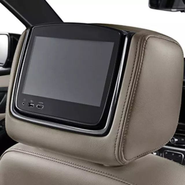 Headrest and Video Screen Assembly - GM (84681102)