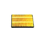 5019002AA - : Air Filter for Mopar Image