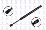 84471 - : Trunk Lid Lift Support for Focus Auto Parts Image