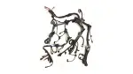 821210R281 - : Wire Engine for Toyota Image