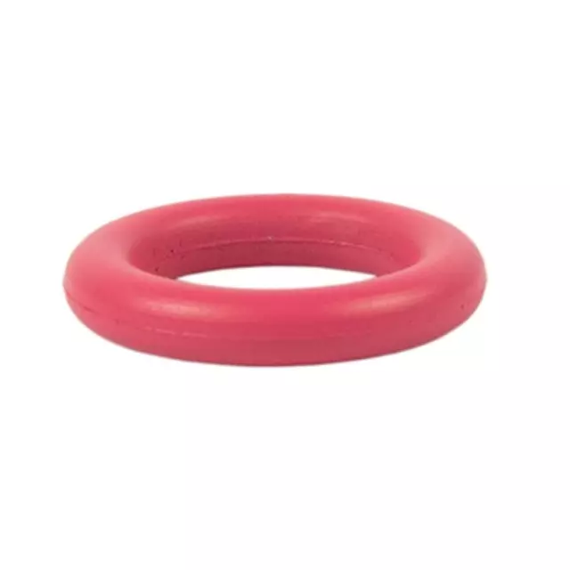 Oil Outlet Tube Gasket - Ford (FT4Z-6N652-C)