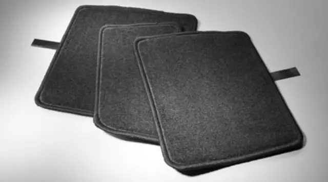 PT2067411302 - Interior: Carpet Floor Mats - Rear - Black for Scion: iQ Image