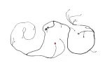 26496623 - : F Harness for GM Image