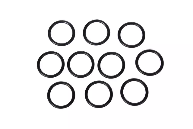 55555984 - : Engine Coolant Thermostat Housing Plug O-Ring for Chevrolet: Aveo5 Image