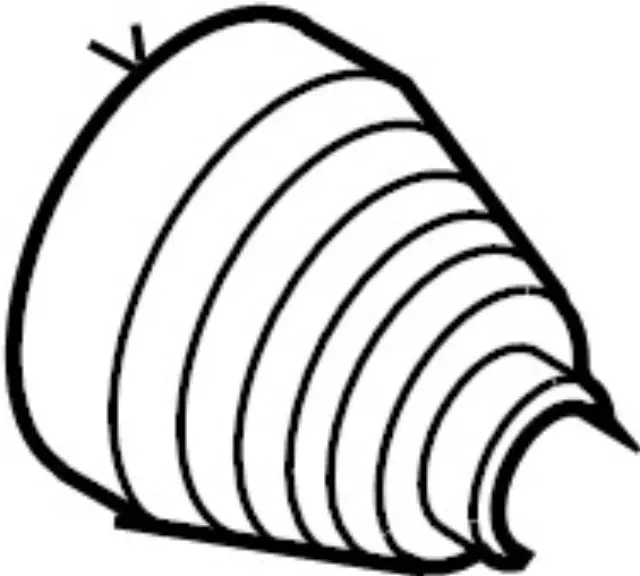 C9B4AJA00K - Universals &amp; Rear Axle: Axle Boots for INFINITI: EX35, EX37, G25, G37, M35, Q60 Image