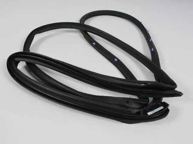 Rear Door Mounted Weatherstrip, Right - Mopar (5074520AC)