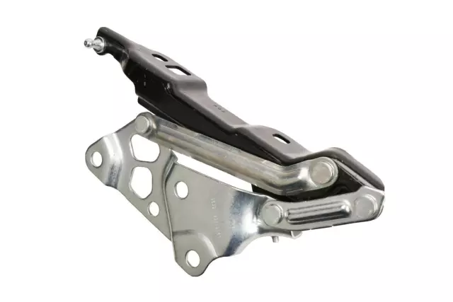 22868254 - Body: Hinge for GM Image
