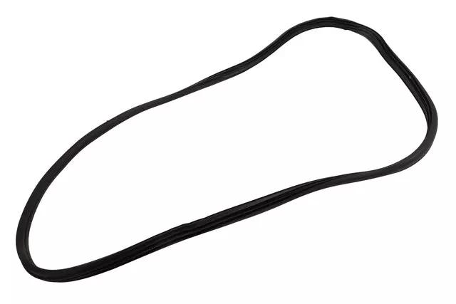 Front Side Door Body Side Weatherstrip - GM (84710502)