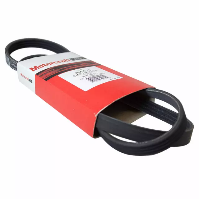 CM5Z8620DA - : Serpentine Belt for Ford: EcoSport, Focus Image