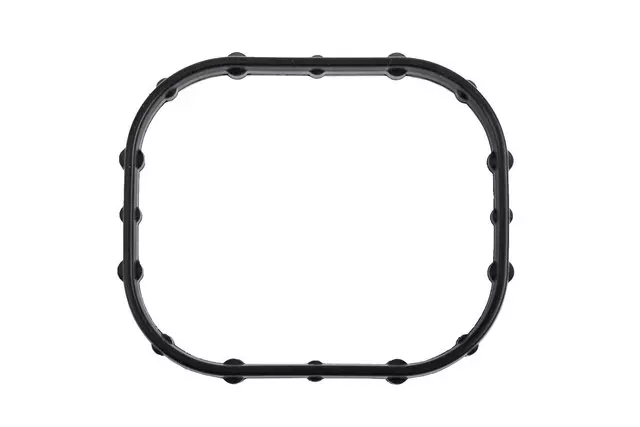 55487817 - : Engine Coolant Outlet O-Ring for GM Image