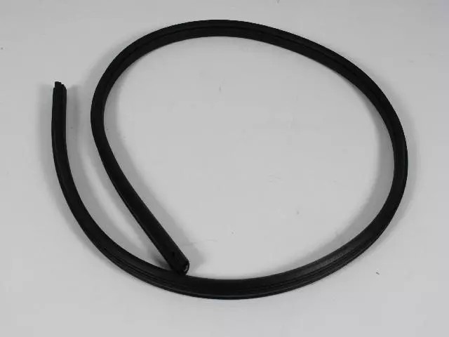 Rear Aperture Panel Glass Weatherstrip - Mopar (4894635AC)