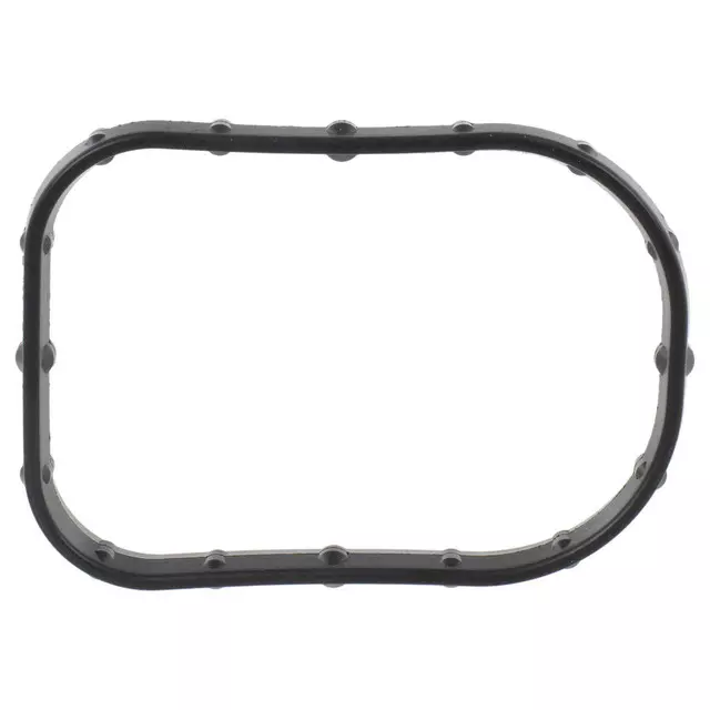 LX6Z8255A - Cooling System: Adapter Gasket for Ford: Escape, Maverick | Lincoln: Corsair Image