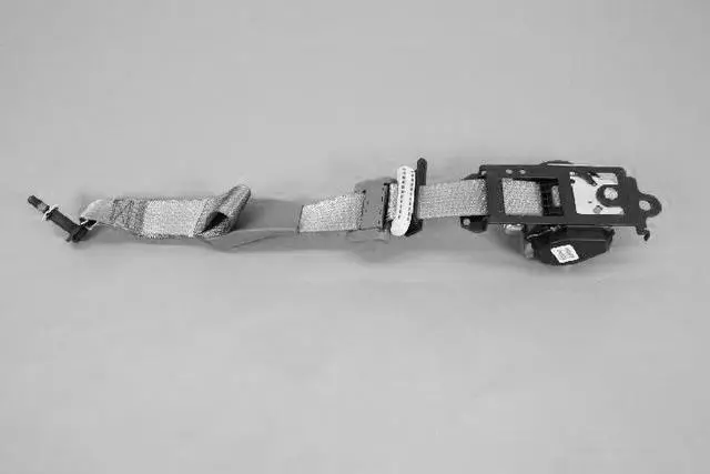 TS581L2AI - Interior Trim: Front Seat Belt, Right for Mopar Image