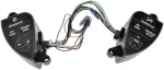 9015101 - : Heavy Duty Cruise Control Switch - Steering Wheel Mounted for Dorman Image