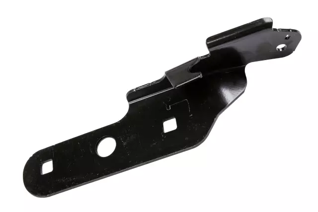 15237070 - Body: Hinge for GM Image
