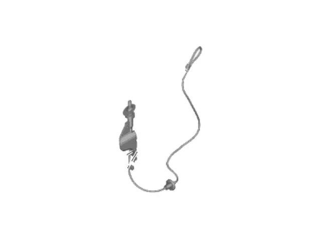 Radio Antenna Base - Ford (CK4Z-18A984-D)