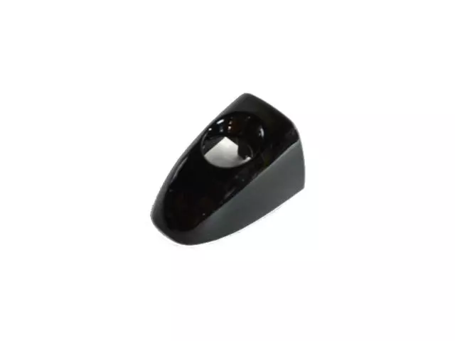 1YB54LXTAC - Doors, Door Mirrors and Related Parts: Door Handle Cap for Chrysler: 200 Image