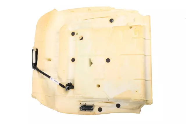 Airbag Front Passenger Presence Module - GM (20824278)