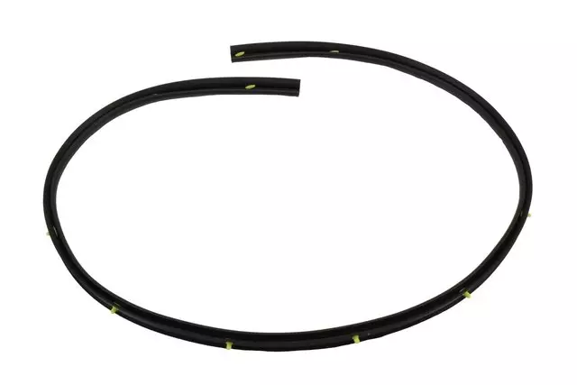 10372799 - Body: Lower Weather-strip for GM Image image