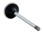 V4459 - : Engine Exhaust Valve for Enginetech Image