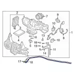 JL1Z18663DC - HVAC: Outlet Hose for Ford: Expedition | Lincoln: Navigator Image