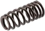 VS1631 - : Stock Replacement Valve Spring for Melling Image
