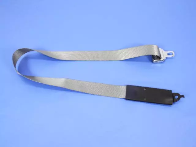 Tip Half Seat Belt, Center - Mopar (5GW301D5AC)