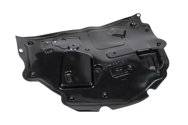 Passenger Side Front Door Water Deflector - GM (20794761)