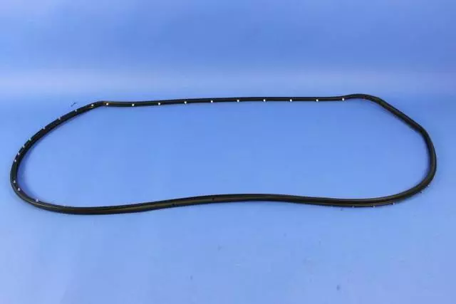 68144959AC - : Front Door Opening Weatherstrip, Left for Mopar Image