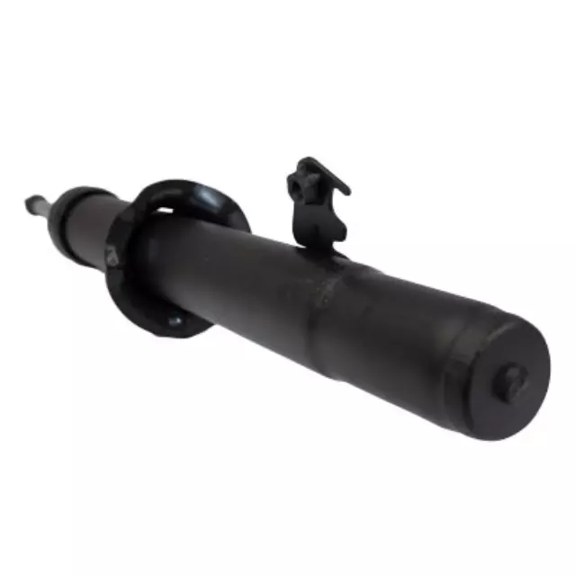 Shock Absorber Assembly - Ford (AST-163)