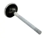 V1715 - : Engine Exhaust Valve for Enginetech Image
