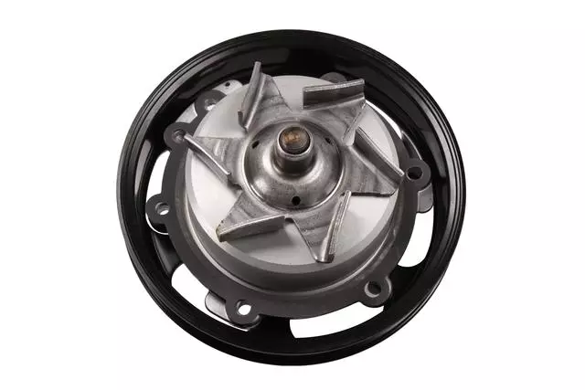 Water Pump Kit with Housing, Seals, Bearing, Impeller, Pulley, Gasket, and Plug - GM (12692046)