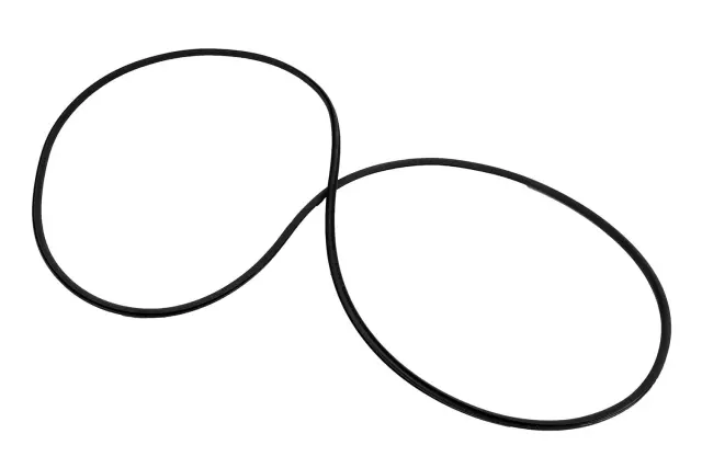 15893292 - Body: Sunroof Glass Seal for Chevrolet: Impala, Impala Limited, Malibu | Pontiac: G6 | Saturn: Aura Image