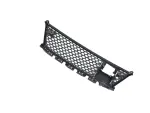 68445973AA - Frame, Bumper and Fascia: Lower Grille for Mopar Image image