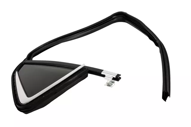 Passenger Side Rear Door Window Weatherstrip - GM (94533828)