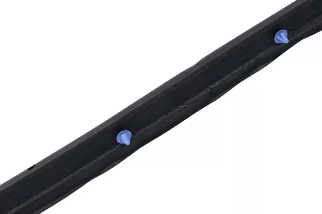 Front Passenger Side Door Weatherstrip - GM (42440847)