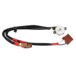630058 - : Ignition Switch for ROSTRA Image