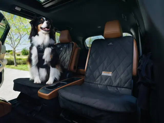 T99N46SA0Q - : Pet Seat Protector - Captain's Chair for Infiniti Image