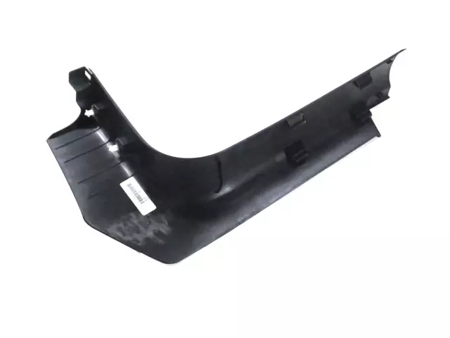 Molding - Mopar (5LY04DX9AD)