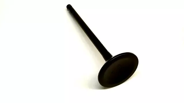 13202AA401 - : Exhaust Valve for Subaru: Impreza Image