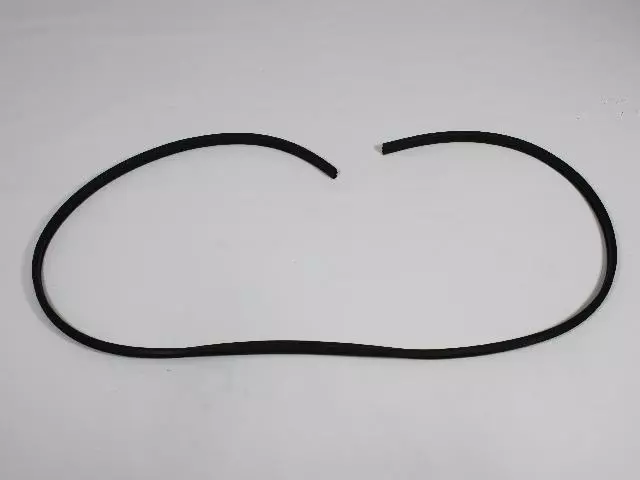 Weatherstrip - Mopar (55346790AJ)