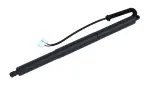 615047 - : Liftgate Lift Support for Tuff Support Image