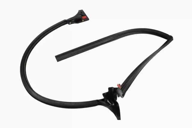 Driver Side Rear Door Weatherstrip - GM (25862440)