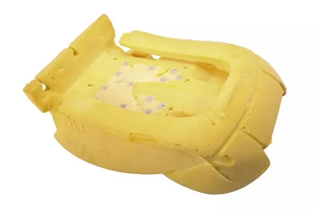 Driver Seat Back Pad - GM (26205751)