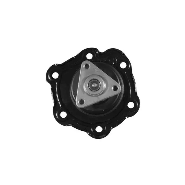 252257 - : Engine Water Pump for ACDelco Image